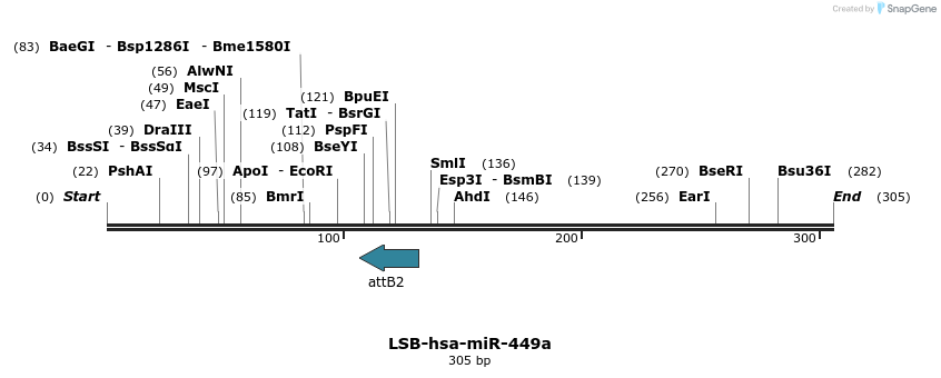 213084_map