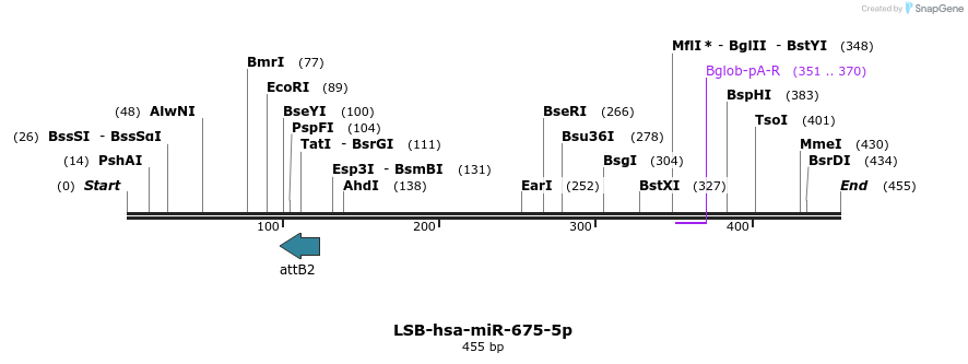 213087_map