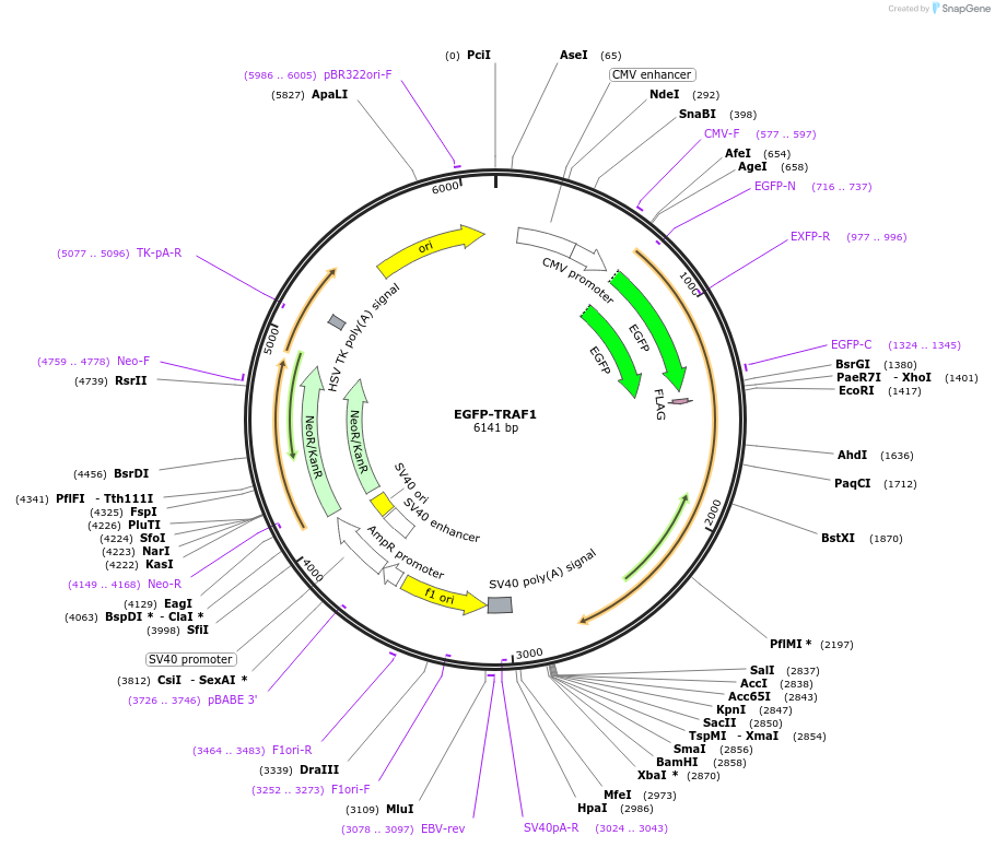 213113_map