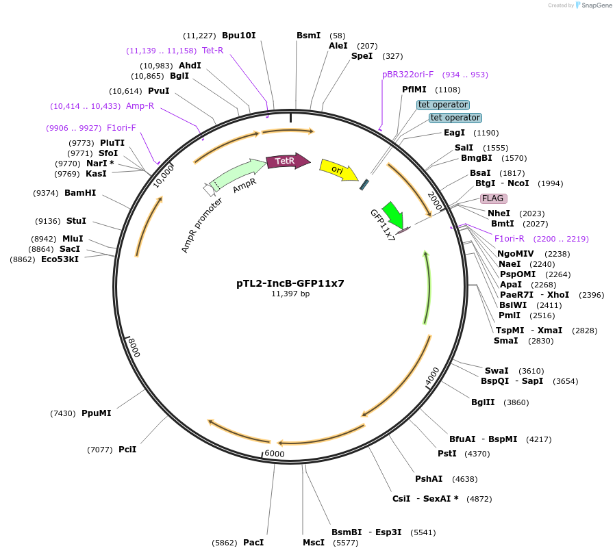 213172_map