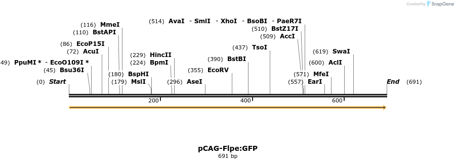 21318_map