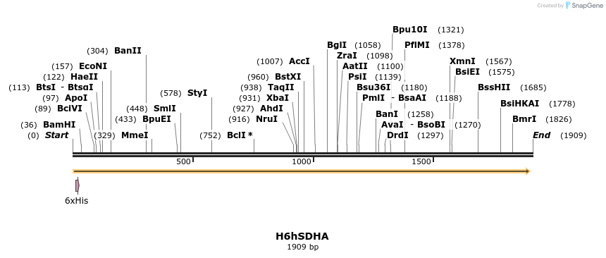 213205_map