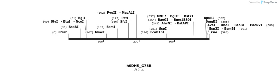 213212_map