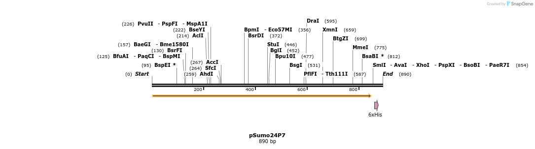 213228_map