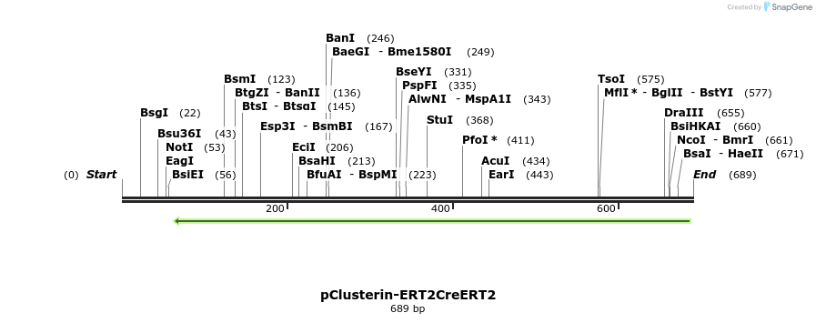 21323_map