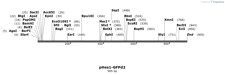 21325_map