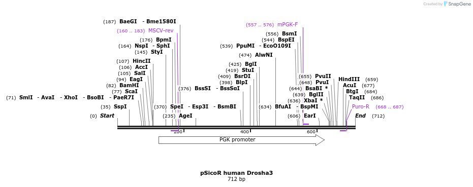 21331_map