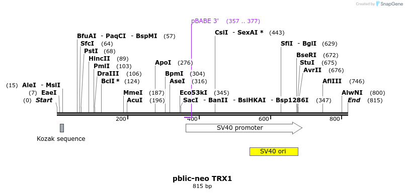 213330_map