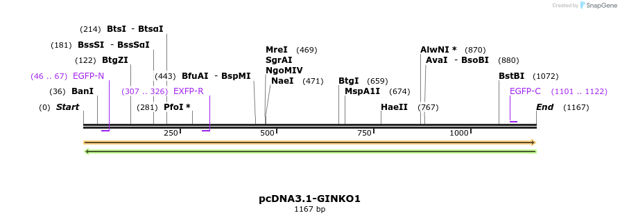 213381_map