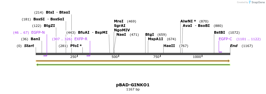 213382_map
