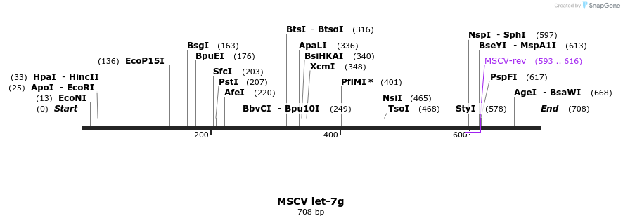 21346_map