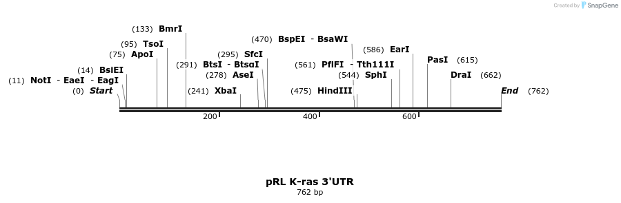 21348_map