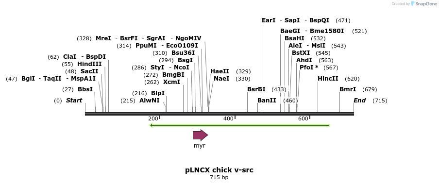 21360_map