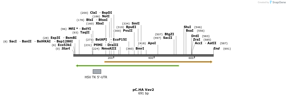 21361_map