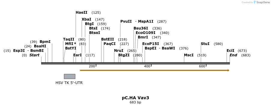 21362_map