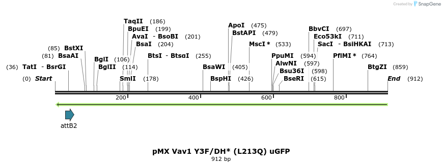 21365_map