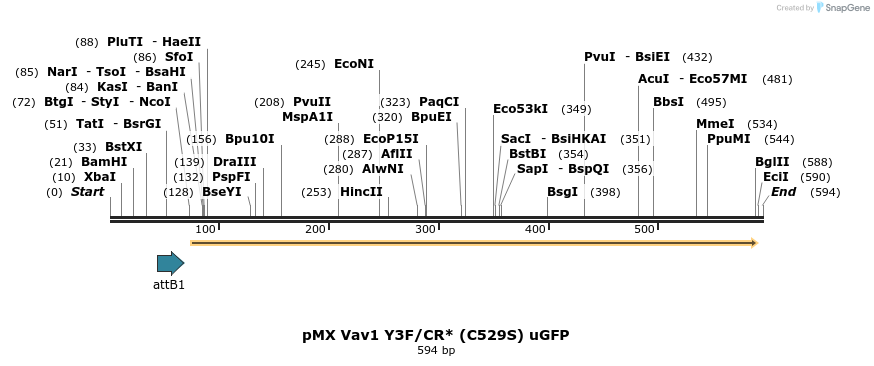 21367_map
