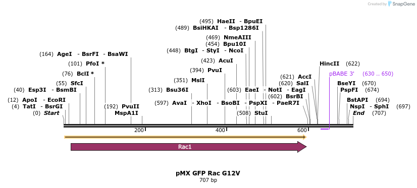 21368_map