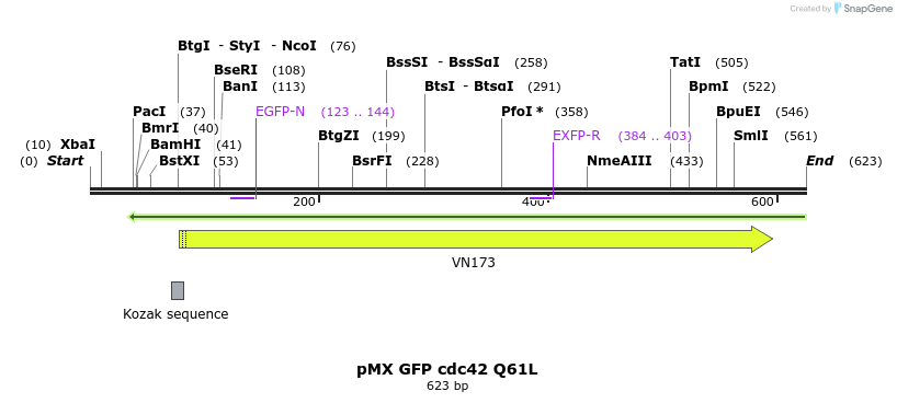 21369_map