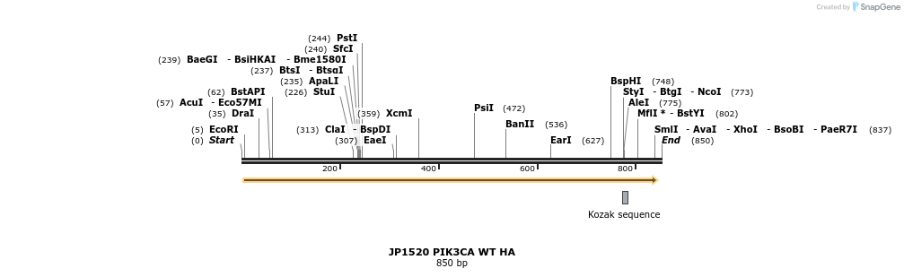 21371_map