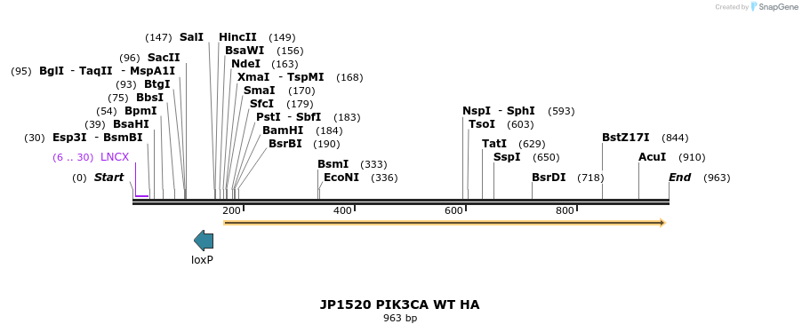 21372_map
