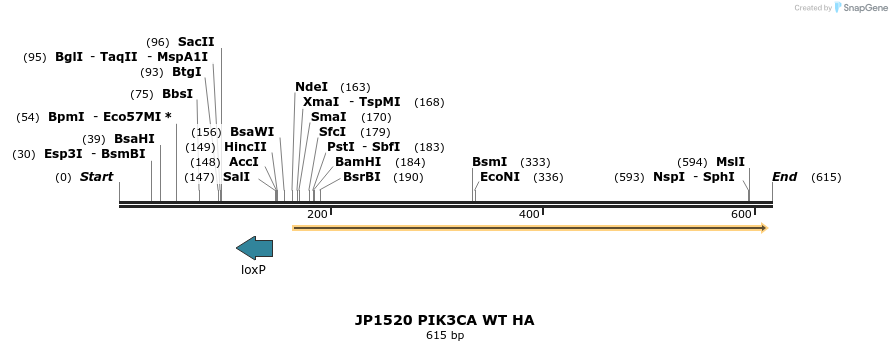 21373_map