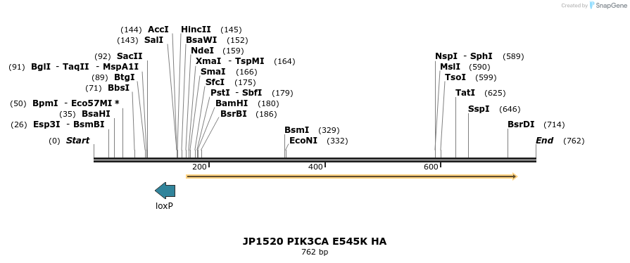 21374_map