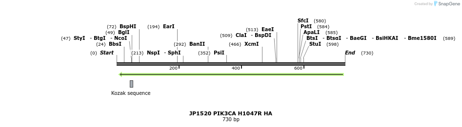 21375_map