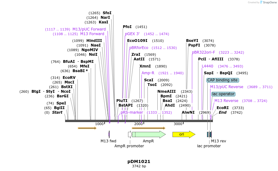 213796_map