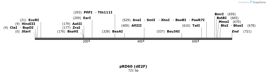 21384_map