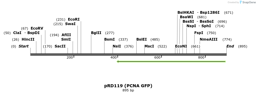 21385_map