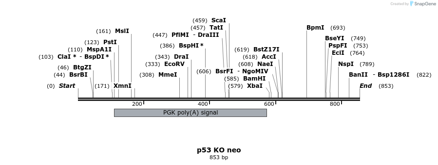 21386_map
