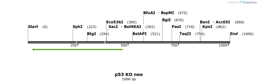 21387_map
