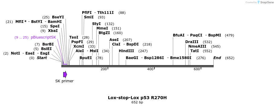 21388_map