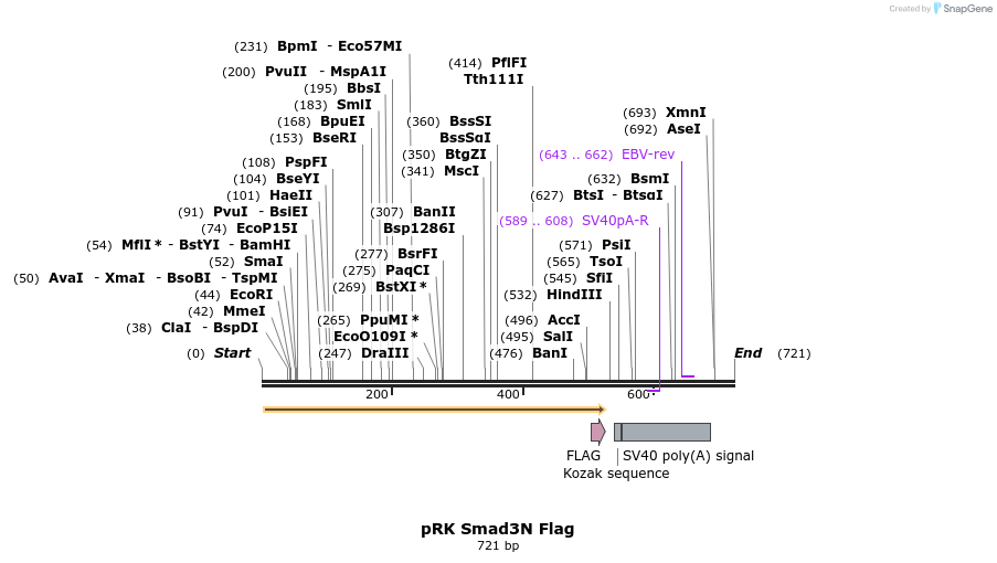 21390_map