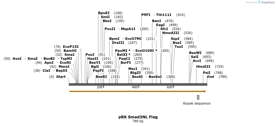 21391_map