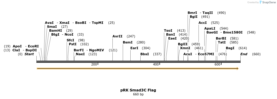 21393_map