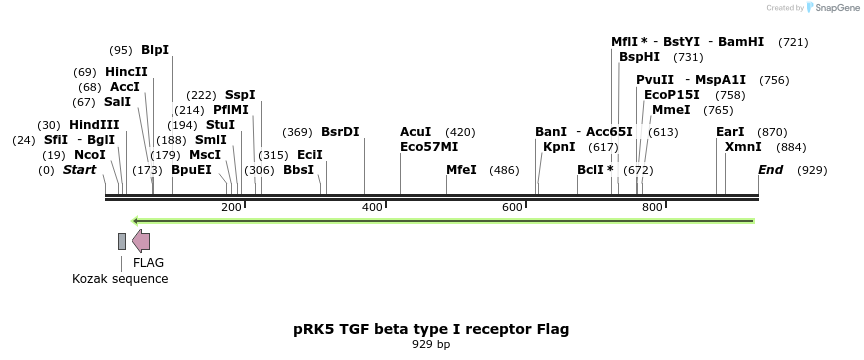 21394_map