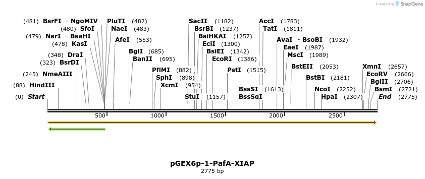 213942_map