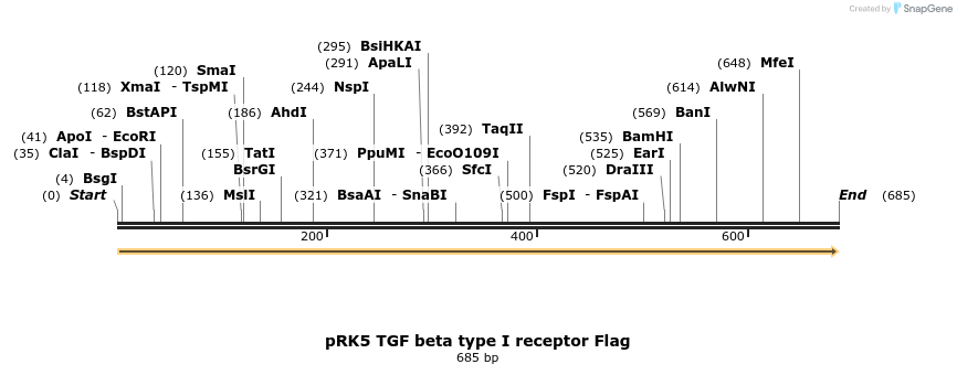 21395_map