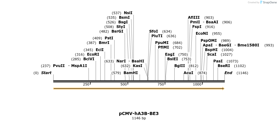 213962_map
