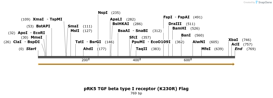 21399_map