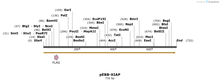 21400_map