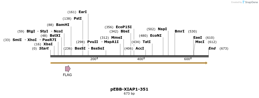 21402_map