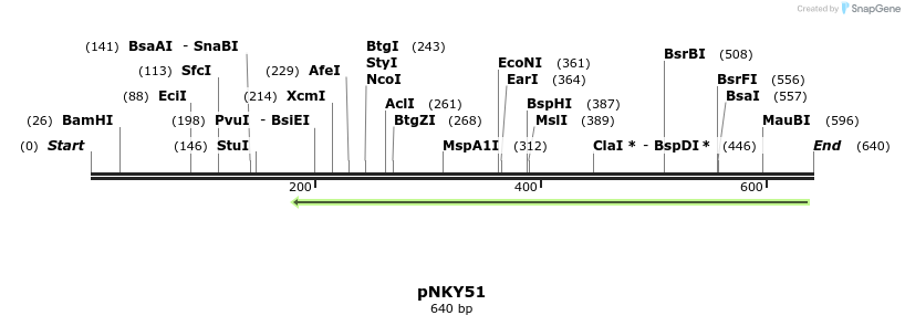 21403_map