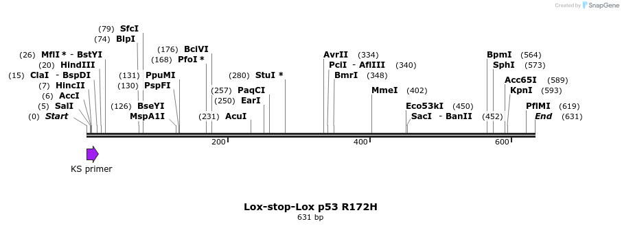 21411_map