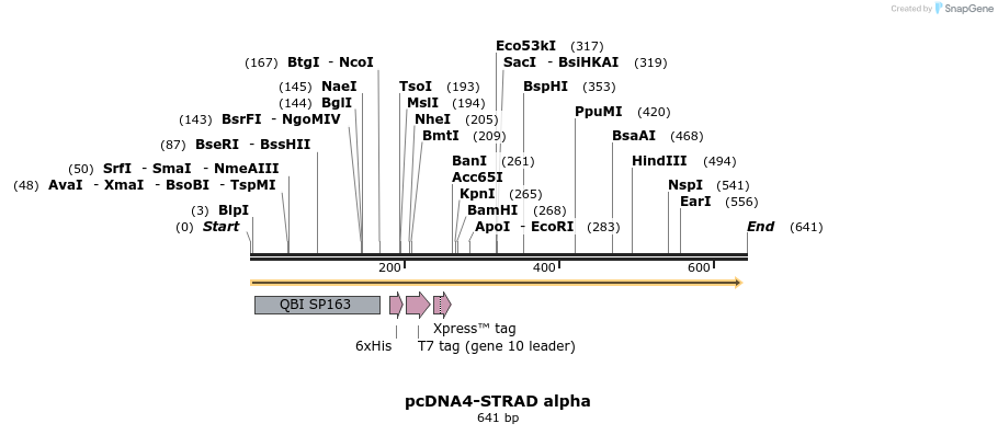 21413_map