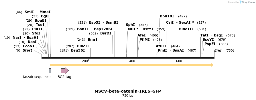 21418_map