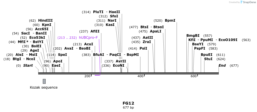 21424_map