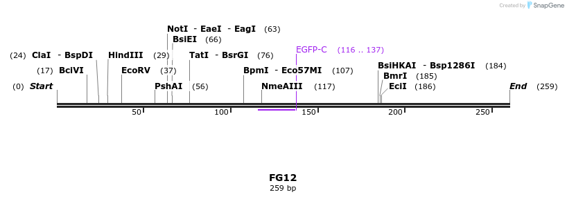21425_map
